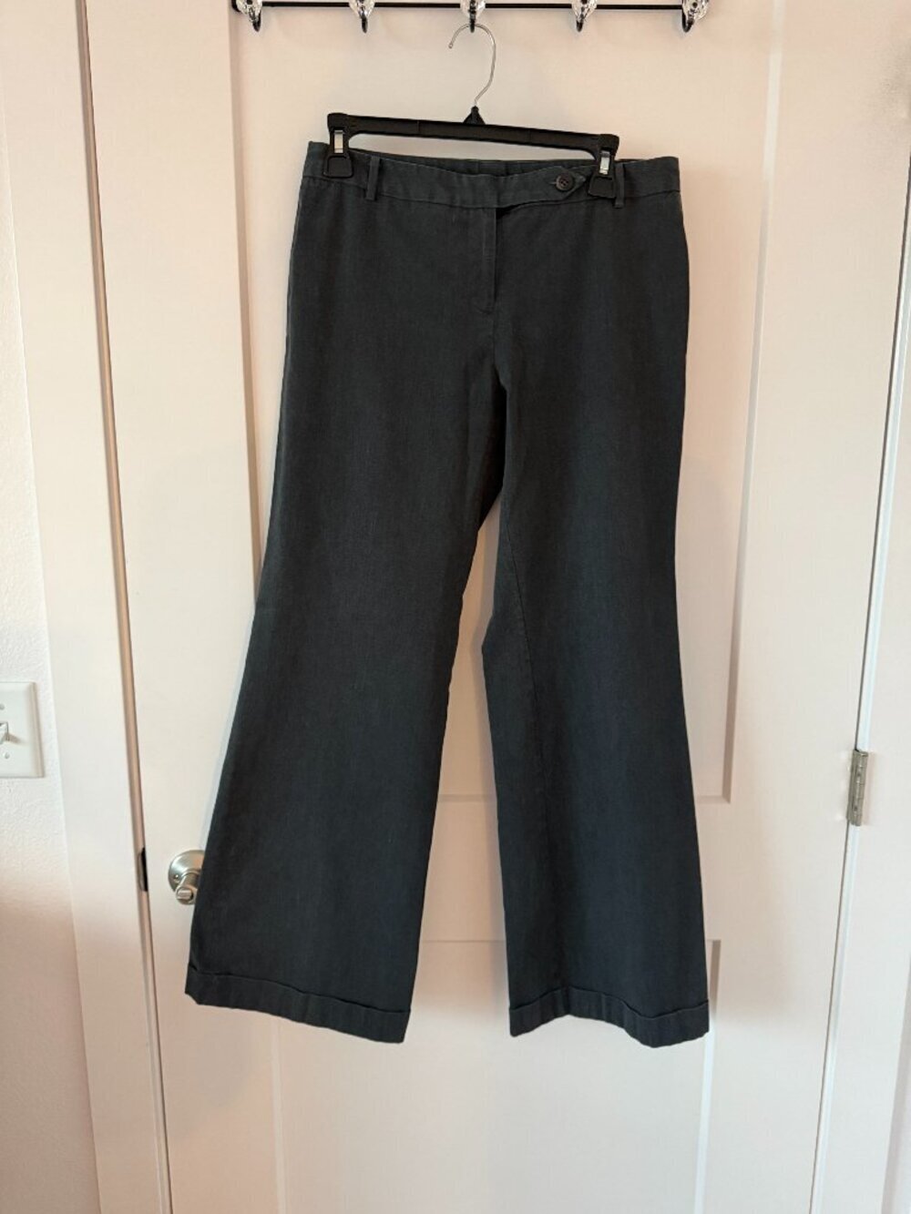 Express Dress Pants